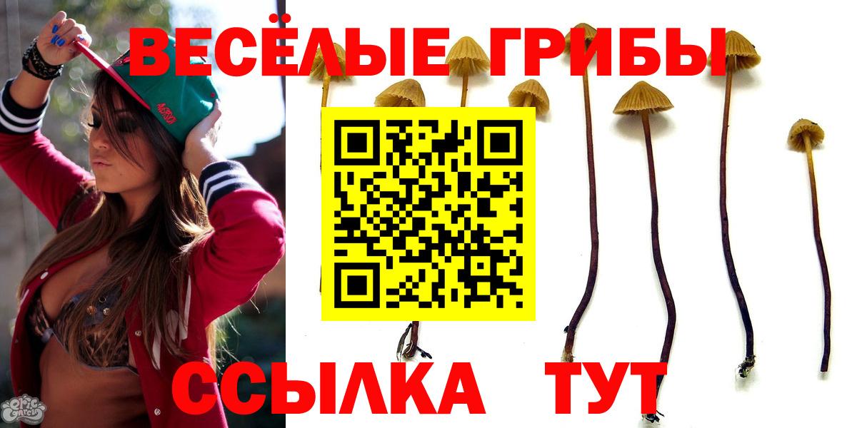 МЕФ  Губкинский  МДМА  Вход с VPN  ГАШИШ  Каннабис  Мефедрон   Кокаин 